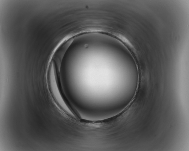 X0000085021181200703121536