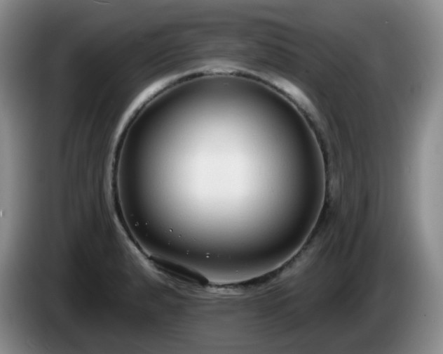 X0000085021183200703121536