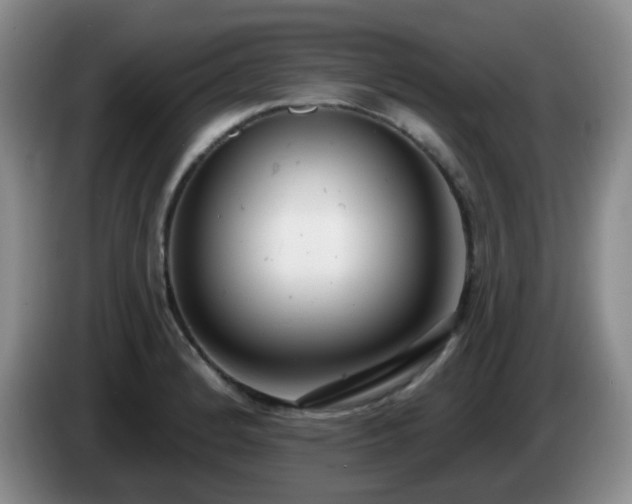X0000085021184200703121536