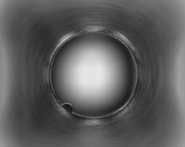 X0000085021186200703121536