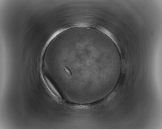 X0000085021187200703121536