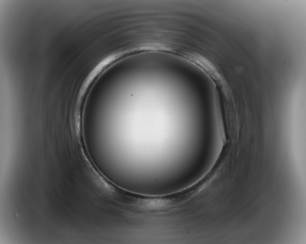 X0000085021188200703121536