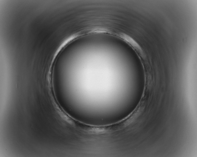 X0000085021190200703121536