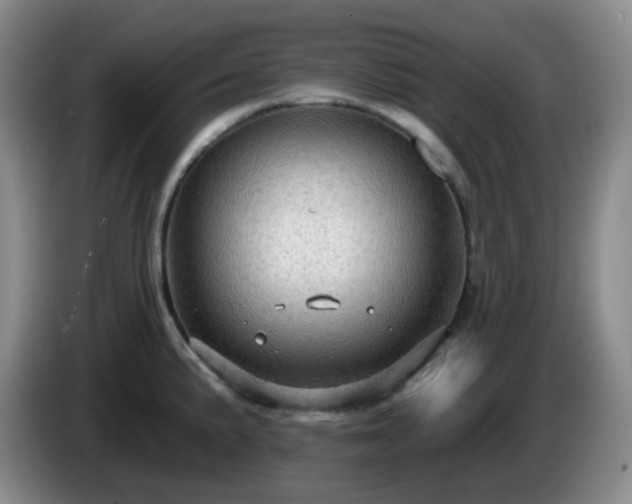 X0000085021191200703121536