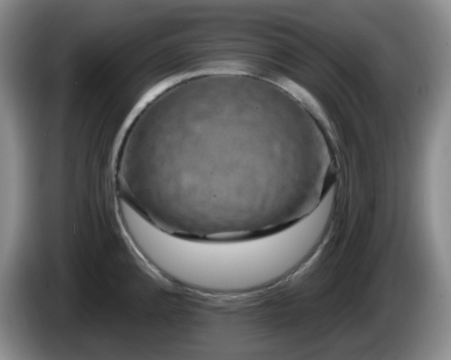 X0000085021192200703121536