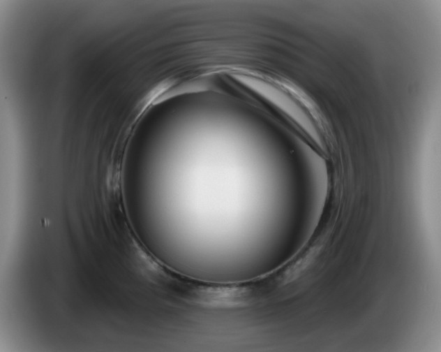 X0000085021193200703121536