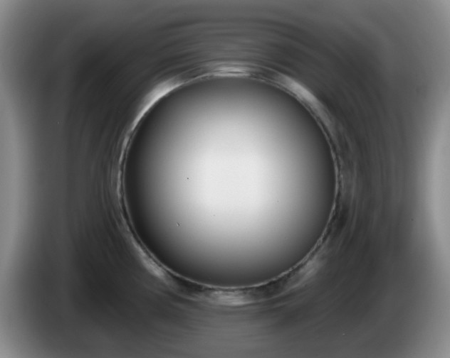 X0000085021194200703121536