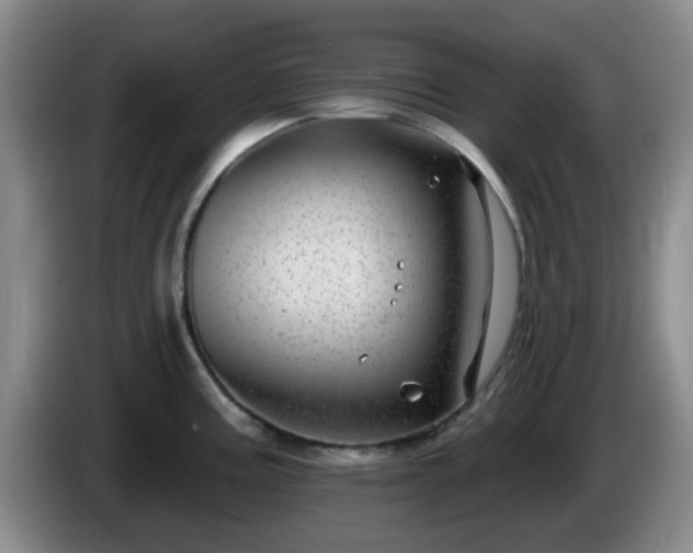 X0000085021195200703121536