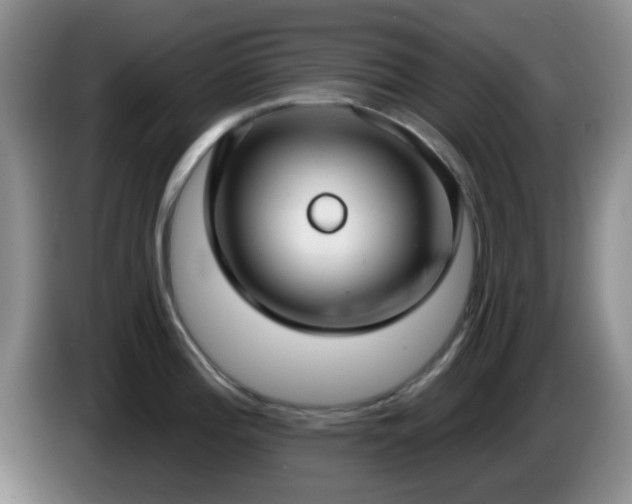 X0000085021196200703121536