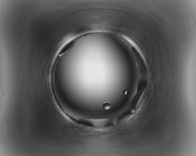 X0000085021197200703121536