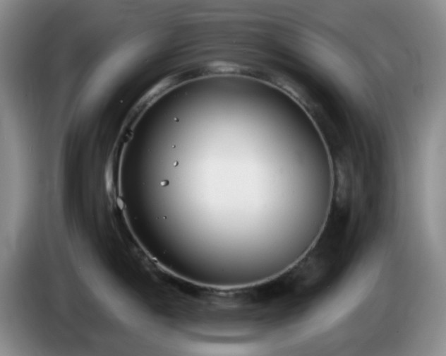 X0000085021198200703121536