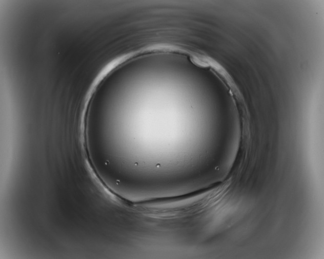 X0000085021199200703121536