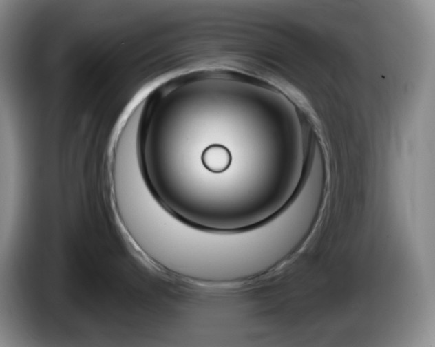 X0000085021200200703121536