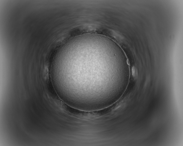 X0000085021203200703121535