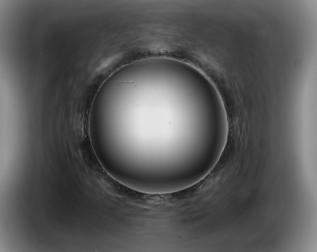 X0000085021205200703121535