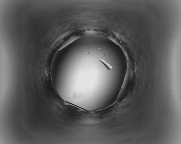 X0000085021206200703121535