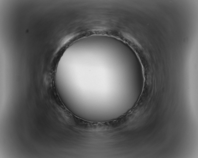 X0000085021208200703121535