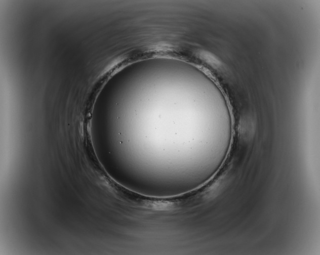 X0000085021209200703121535