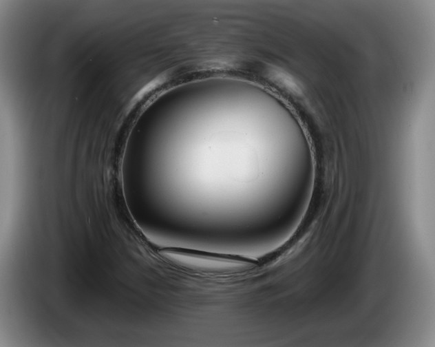 X0000085021210200703121535