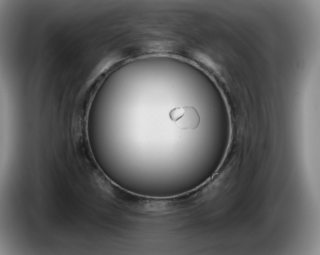 X0000085021211200703121535