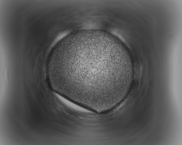 X0000085021213200703121535