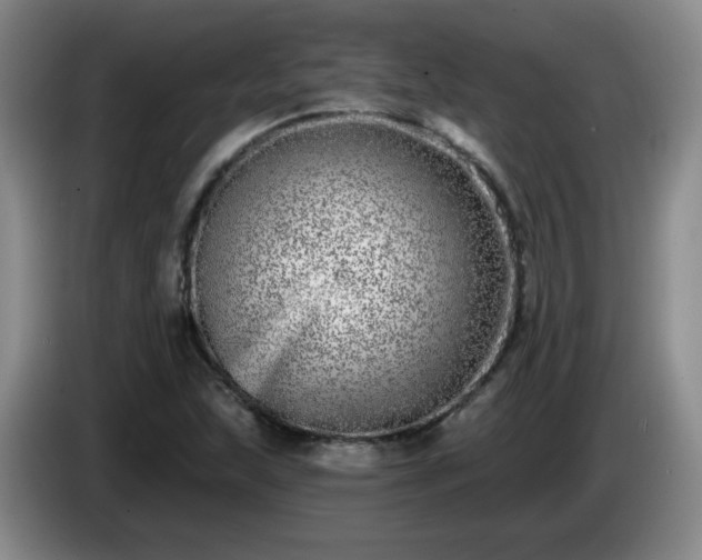 X0000085021215200703121535