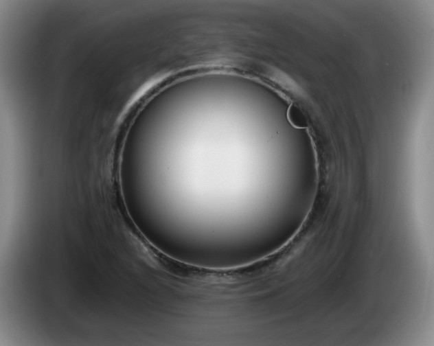 X0000085021216200703121535