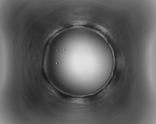 X0000085021217200703121535