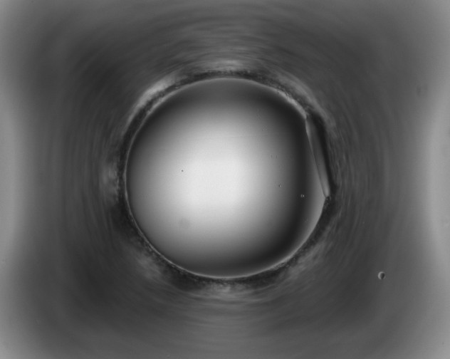 X0000085021218200703121535