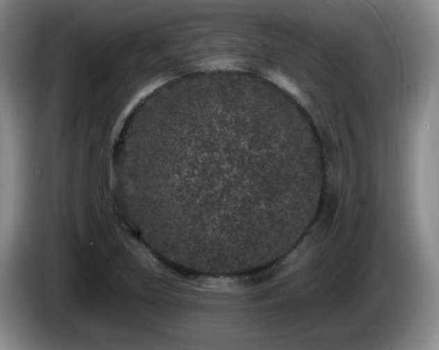 X0000085021219200703121535