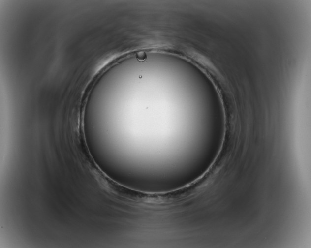 X0000085021220200703121535
