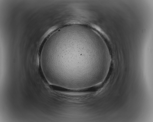 X0000085021221200703121535