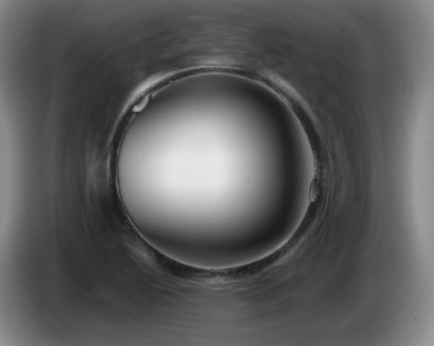 X0000085021222200703121535