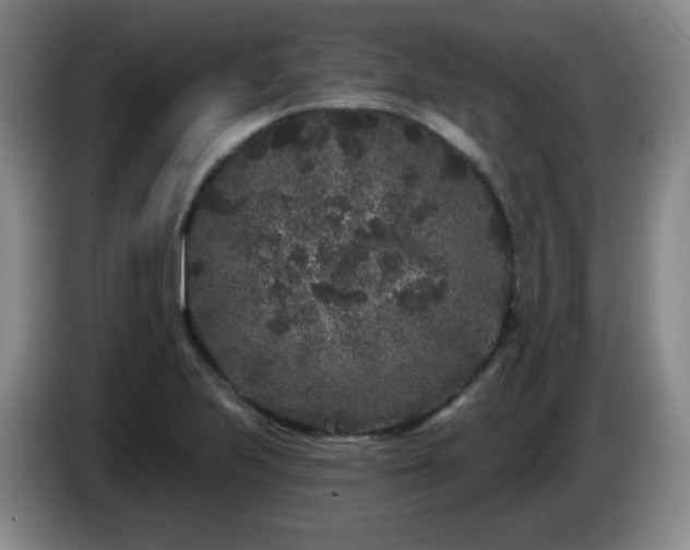X0000085021223200703121535