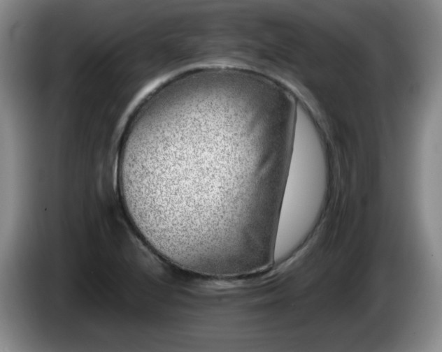 X0000085021224200703121535
