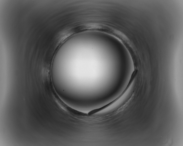 X0000085021225200703121535
