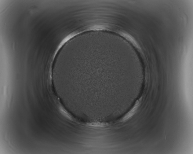 X0000085021226200703121535