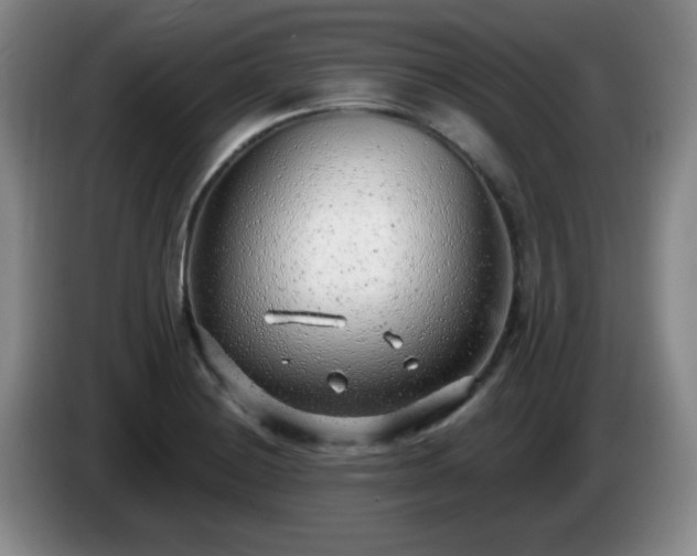 X0000085021228200703121536