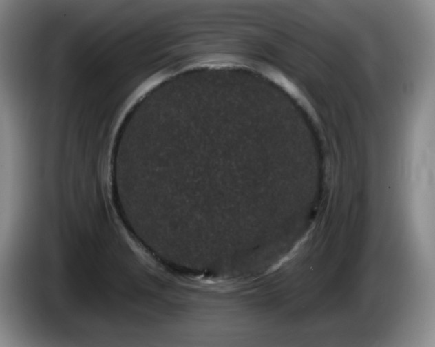 X0000085021229200703121536