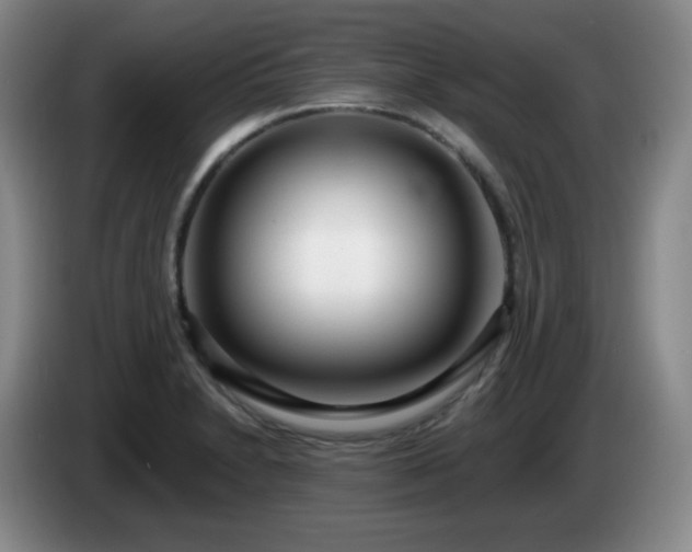 X0000085021230200703121536