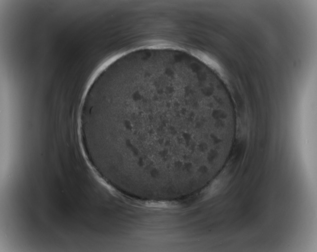 X0000085021231200703121536