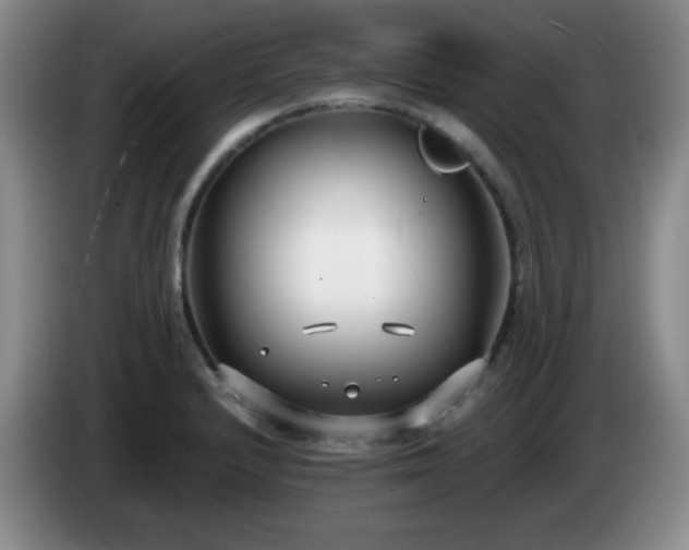 X0000085021232200703121536