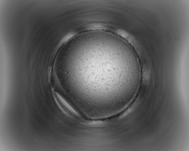 X0000085021233200703121536