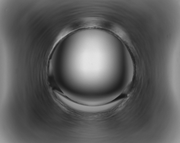 X0000085021234200703121536