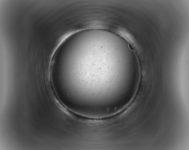 X0000085021236200703121536