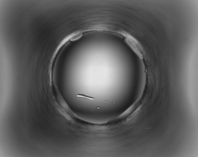 X0000085021238200703121536