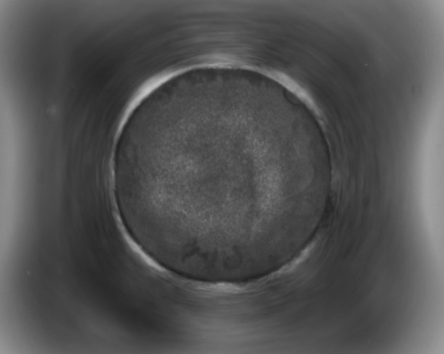 X0000085021239200703121536