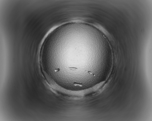 X0000085021240200703121536