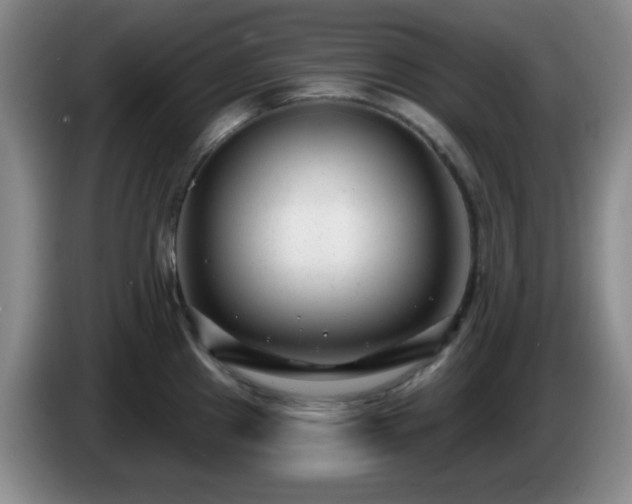 X0000085021241200703121536