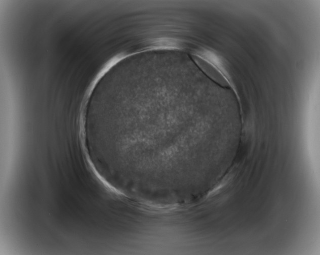 X0000085021243200703121536